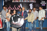 Madhumati Movie Audio Release